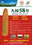 九园58