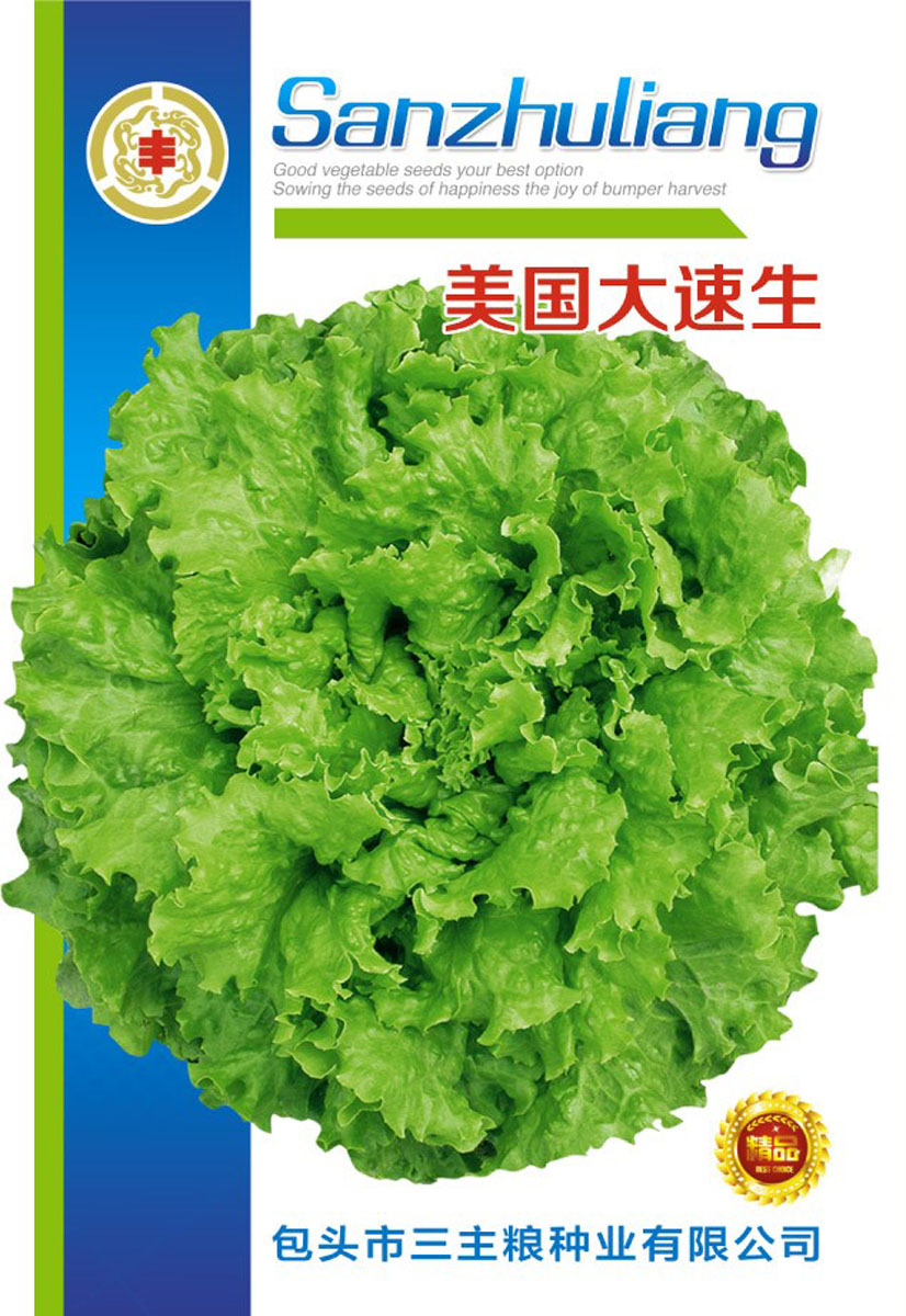 美国大速生